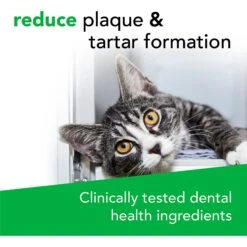 VetriScience Perio Plus Everyday Health Feline Bites Dental Cat Treats -Furry Friends 63108 PT4. AC SS1800 V1558471318