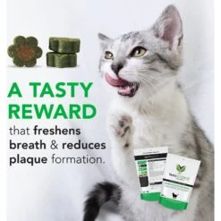 VetriScience Perio Plus Everyday Health Feline Bites Dental Cat Treats -Furry Friends 63108 PT6. AC SS1800 V1558471327