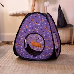 Goody Box Halloween Cat Toys & Treats -Furry Friends 631182 PT4. AC SS1800 V1690839980