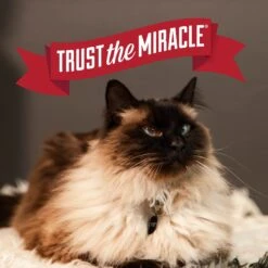 Nature's Miracle Intense Defense Scented Clumping Clay Cat Litter -Furry Friends 633374 PT6. AC SS1800 V1667947582