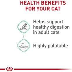 Royal Canin Feline Care Nutrition Digestive Care Thin Slices In Gravy Canned Cat Food -Furry Friends 63430 PT3. AC SS1800 V1697760925
