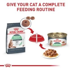 Royal Canin Feline Care Nutrition Digestive Care Thin Slices In Gravy Canned Cat Food -Furry Friends 63430 PT5. AC SS1800 V1697757757