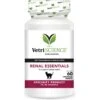 VetriScience Renal Essentials Chewable Tablets Kidney & Urinary Supplement For Cats 1 VetriScience Renal Essentials Chewable Tablets Kidney & Urinary Supplement For Cats -Furry Friends 63754 MAIN. AC SS1800 V1658944061