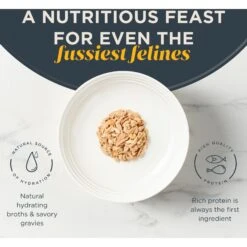 Reveal Natural Grain-Free Tuna Fillet With Shrimp In Broth Flavored Wet Cat Food, 2.47-oz Can, Case Of 24 -Furry Friends 637798 PT3. AC SS1800 V1663106570