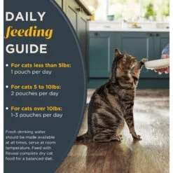 Reveal Natural Grain-Free Chicken Breast In Broth Flavored Wet Cat Food -Furry Friends 638070 PT5. AC SS1800 V1663106057