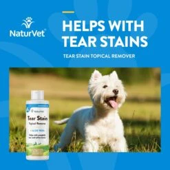 NaturVet Tear Stain Remover Dog & Cat Liquid Topical Formula 13 NaturVet Tear Stain Remover Dog & Cat Liquid Topical Formula -Furry Friends 63824 PT3. AC SS1800 V1698697644