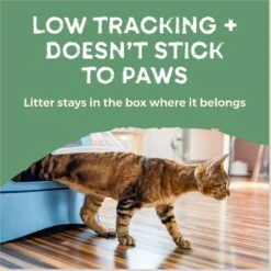 Naturally Fresh Quick Clumping Unscented Cat Litter, 40-lb Bag -Furry Friends 639646 PT7. AC SS1800 V1664228407