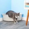 SmartCat Corner Litter Box -Furry Friends 64198 MAIN. AC SS1800 V1565284373
