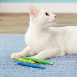 Pioneer Pet Catnip Toy Nip Nibblers -Furry Friends 64216 PT8. AC SS1800 V1507562875