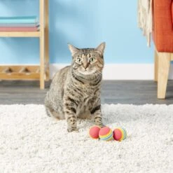 SmartCat Toy Box Balls, Color Varies -Furry Friends 64222 PT5. AC SS1800 V1525719495