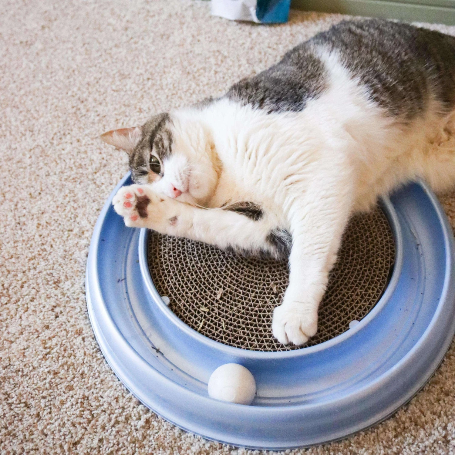 Bergan Scratcher Replacement Pads, 2 Count 7 Bergan Scratcher Replacement Pads, 2 Count - Image 5