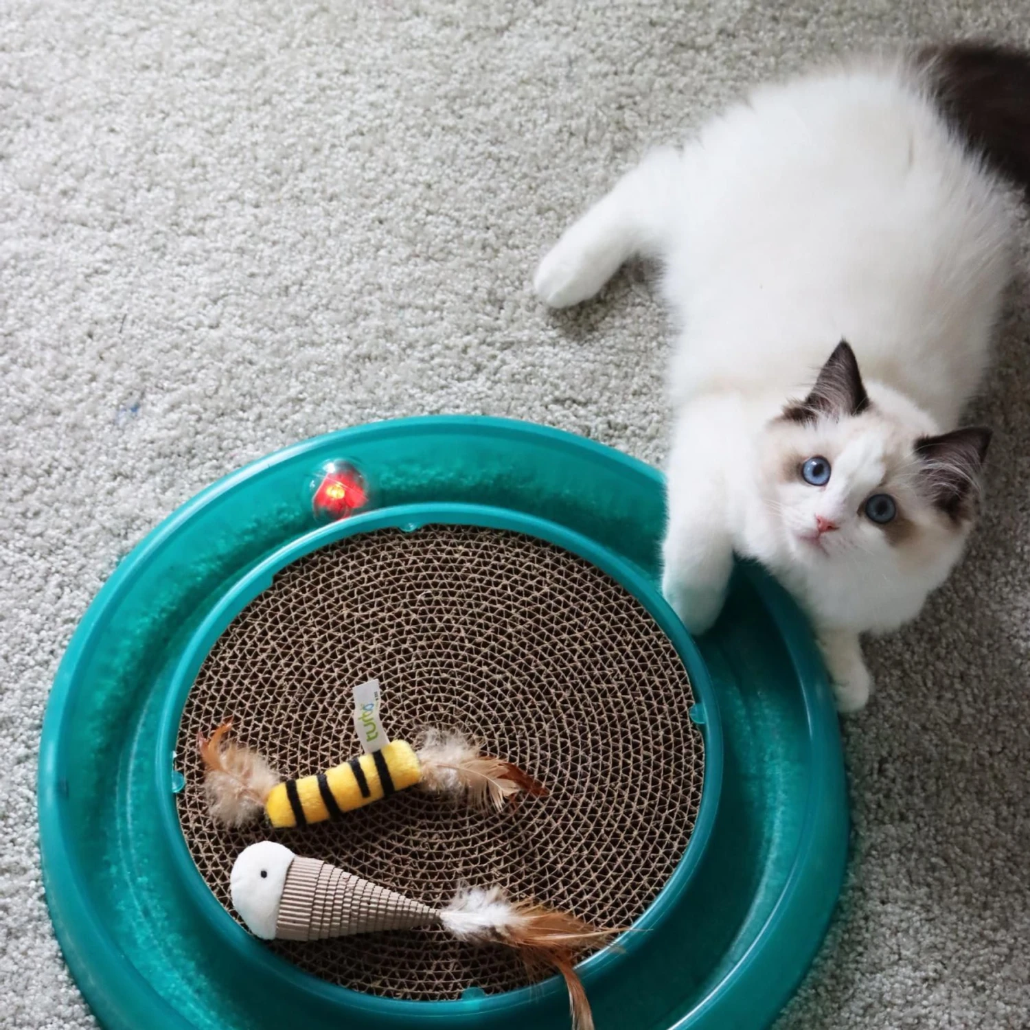 Bergan Replacement Twinkle Ball Cat Toy, Color Varies 6 Bergan Replacement Twinkle Ball Cat Toy, Color Varies - Image 4