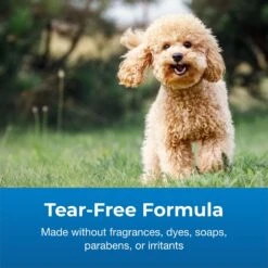 PetAg Fresh 'n Clean Soothing & Sensitive Waterless Hypoallergenic Cat Dog & Small-Pet Shampoo, 9-oz Bottle 8 PetAg Fresh 'n Clean Soothing & Sensitive Waterless Hypoallergenic Cat Dog & Small-Pet Shampoo, 9-oz Bottle -Furry Friends 645902 PT2. AC SS1800 V1667228768