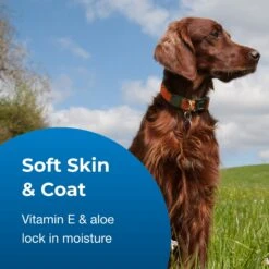 PetAg Fresh 'n Clean Soothing & Sensitive Waterless Hypoallergenic Cat Dog & Small-Pet Shampoo, 9-oz Bottle 9 PetAg Fresh 'n Clean Soothing & Sensitive Waterless Hypoallergenic Cat Dog & Small-Pet Shampoo, 9-oz Bottle -Furry Friends 645902 PT3. AC SS1800 V1667229073