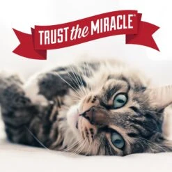 Nature's Miracle Just For Cats No More Spraying -Furry Friends 646230 PT8. AC SS1800 V1668025876