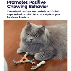 Catstages Dental Cat Chew Toy With Catnip, Color Varies -Furry Friends 64661 PT3. AC SS1800 V1636497150