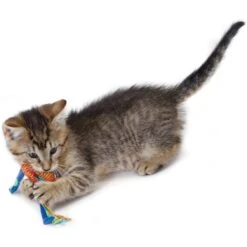 Catstages Dental Cat Chew Toy With Catnip, Color Varies -Furry Friends 64661 PT5. AC SS1800 V1636519583