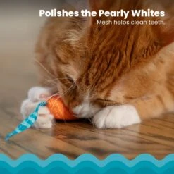 Catstages Mice Cat Chew Toy With Catnip -Furry Friends 64672 PT2. AC SS1800 V1636506377