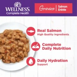 Wellness Natural Grain-Free Gravies Turkey Dinner Canned Cat Food + 2 Items -Furry Friends 646830 PT6. AC SS1800 V1664555100