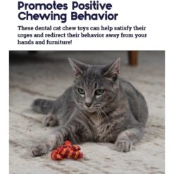 Catstages Plaque Away Pretzel Cat Toy With Catnip, Color Varies 10 Catstages Plaque Away Pretzel Cat Toy With Catnip, Color Varies -Furry Friends 64689 PT3. AC SS1800 V1631685732