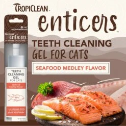 TropiClean Enticers Seafood Medley Flavor No Brushing Cat Teeth Cleaning Gel, 2-oz Tube 14 TropiClean Enticers Seafood Medley Flavor No Brushing Cat Teeth Cleaning Gel, 2-oz Tube -Furry Friends 647270 PT3. AC SS1800 V1666839091