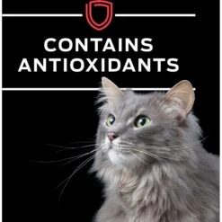 Purina Pro Plan Veterinary Diets DM Dietetic Management Wet Cat Food -Furry Friends 64870 PT7. AC SS1800 V1700689724