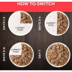 Purina Pro Plan Veterinary Diets DM Dietetic Management Savory Selects Wet Cat Food 19 Purina Pro Plan Veterinary Diets DM Dietetic Management Savory Selects Wet Cat Food -Furry Friends 64872 PT8. AC SS1800 V1701932686