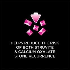 Purina Pro Plan Veterinary Diets UR St/Ox Urinary Dry Cat Food -Furry Friends 64875 PT3. AC SS1800 V1700158299