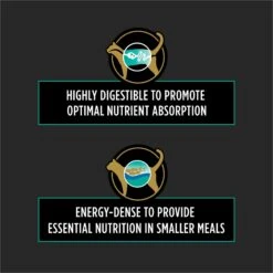 Purina Pro Plan Veterinary Diets EN Gastroenteric Dry Cat Food -Furry Friends 64880 PT2. AC SS1800 V1700158340