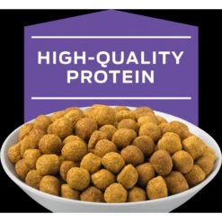 Purina Pro Plan Veterinary Diets DH Dental Health Dry Cat Food -Furry Friends 64884 PT3. AC SS1800 V1700159089