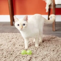 Catit Design Senses Circuit Motion Activated Illuminated Balls Cat Toy -Furry Friends 64982 PT5. AC SS1800 V1527256178