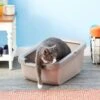 Catit Cat Pan With Rim -Furry Friends 65017 MAIN. AC SS1800 V1565284442