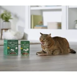 Tiny Tiger Pate Beef & Poultry Recipes Variety Pack Grain-Free Canned Cat Food & Tiny Tiger Lickables, Senior Formula, Tuna & Chicken Recipe, Bisque Cat Treat & Topper -Furry Friends 653046 PT8. AC SS1800 V1664900036