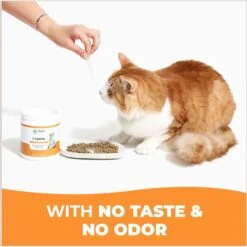 Alpha Paw Cat L-Lysine Immune Support Cat Supplement, 8-oz Jar -Furry Friends 653862 PT6. AC SS1800 V1665756959