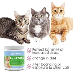 Alpha Paw Cat L-Lysine Immune Support Cat Supplement, 8-oz Jar -Furry Friends 653862 PT7. AC SS1800 V1665666913