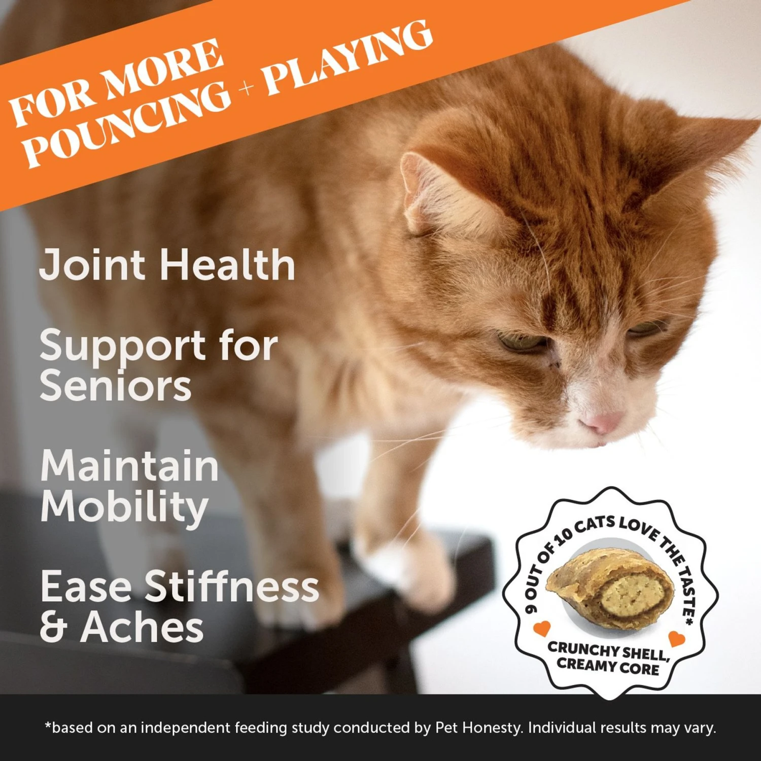 PetHonesty Dual Texture Hip & Joint Chews Supplement For Cats 4 PetHonesty Dual Texture Hip & Joint Chews Supplement For Cats - Image 2