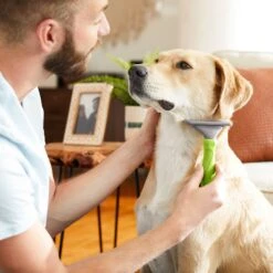 Frisco 71-in Faux Fur Cat Tree & Condo & Frisco Deshedding Dog & Cat Brush -Furry Friends 660294 PT7. AC SS1800 V1666839309