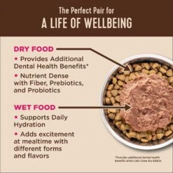 Wellness CORE Grain-Free Chicken, Turkey & Chicken Liver Formula Canned Cat Food & Wellness CORE Natural Grain-Free Turkey & Duck Pate Canned Cat Food -Furry Friends 662670 PT3. AC SS1800 V1667331282