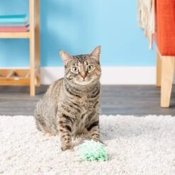 KONG Moppy Ball Cat Toy, Color Varies -Furry Friends 66570 PT6. AC SS1800 V1603164687