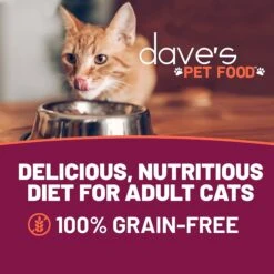 Dave's Pet Food Naturally Healthy Grain-Free Tuna & Salmon Dinner In Aspic Canned Cat Food 8 Dave's Pet Food Naturally Healthy Grain-Free Tuna & Salmon Dinner In Aspic Canned Cat Food -Furry Friends 66705 PT1. AC SS1800 V1461704540