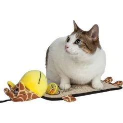 Pet Life Paw-Pleasant Eco-Natural Sisal & Jute Hanging Carpet Kitty Cat Scratcher & Toy 7 Pet Life Paw-Pleasant Eco-Natural Sisal & Jute Hanging Carpet Kitty Cat Scratcher & Toy -Furry Friends 667622 PT2. AC SS1800 V1665608535