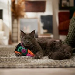 Frisco Halloween Frog In Witch Hat Plush Kicker Cat Toy With Catnip -Furry Friends 667942 PT3. AC SS1800 V1689355019