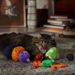 Frisco Halloween Mystical Variety Pack Plush & Balls Cat Toy With Catnip -Furry Friends 668374 PT3. AC SS1800 V1689282492