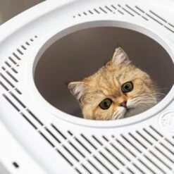 Hanamya Cat Front Entry Top Exit Cat Litter Box With Scoop, X-Large -Furry Friends 677158 PT5. AC SS1800 V1680728859