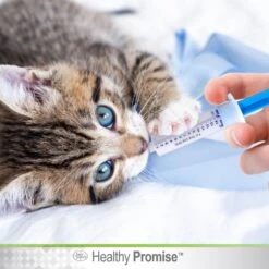Four Paws Healthy Promise Easy Feeder Syringe -Furry Friends 67823 PT5. AC SS1800 V1621374736