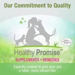 Four Paws Healthy Promise Easy Feeder Syringe -Furry Friends 67823 PT7. AC SS1800 V1621376655