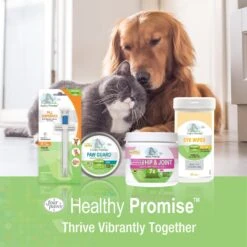 Four Paws Healthy Promise Easy Feeder Syringe -Furry Friends 67823 PT8. AC SS1800 V1621376954