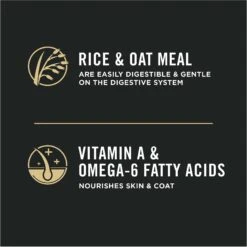 Purina Pro Plan Adult Sensitive Skin & Stomach Lamb & Rice Formula Dry Cat Food -Furry Friends 67888 PT3. AC SS1800 V1649228785