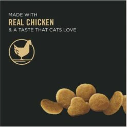 Purina Pro Plan Focus Adult Urinary Tract Health Formula Dry Cat Food 14 Purina Pro Plan Focus Adult Urinary Tract Health Formula Dry Cat Food -Furry Friends 67902 PT3. AC SS1800 V1642463784