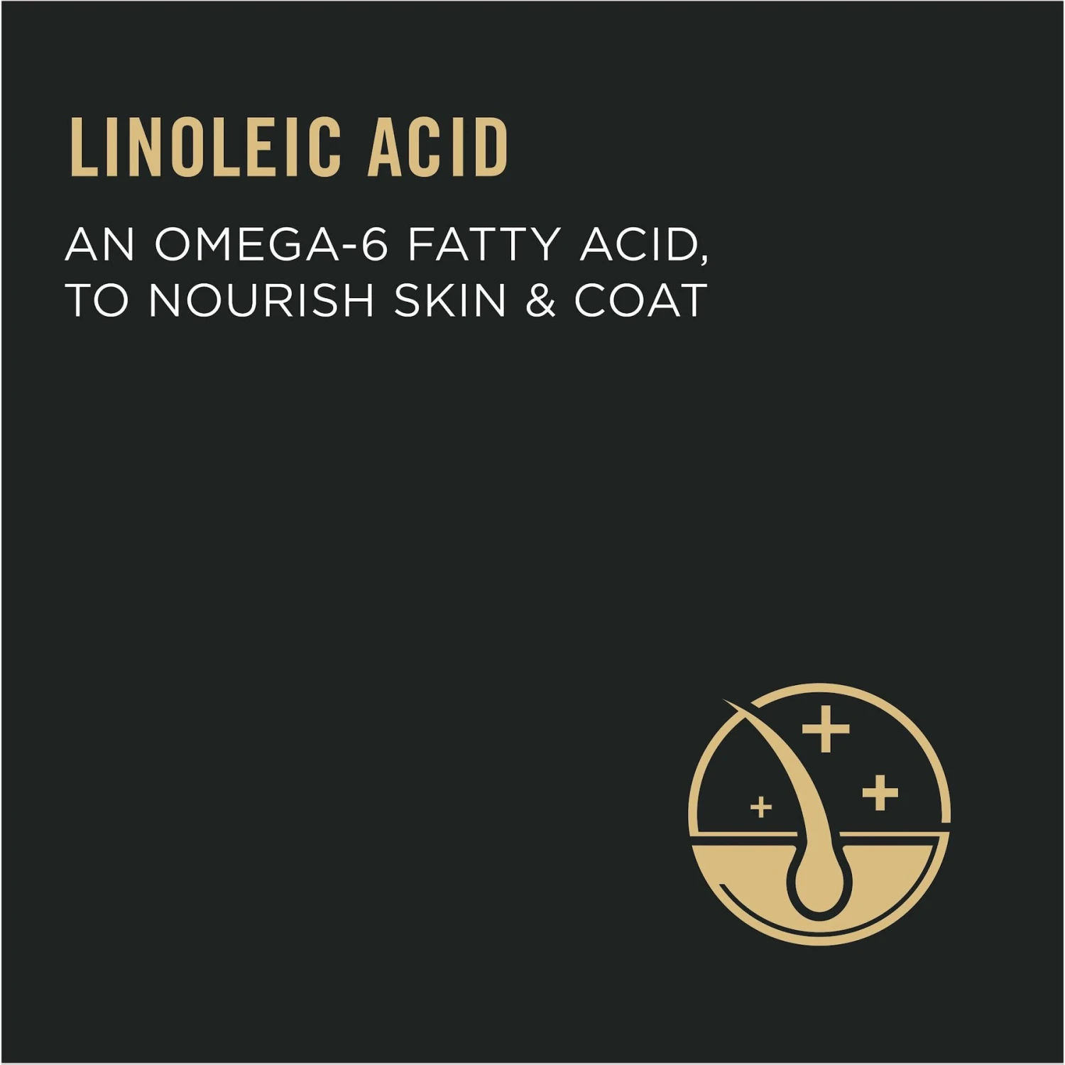 Purina Pro Plan Focus Adult Urinary Tract Health Formula Dry Cat Food 8 Purina Pro Plan Focus Adult Urinary Tract Health Formula Dry Cat Food - Image 6
